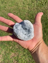 Image 8 of Celestite Cluster Specimen #1929