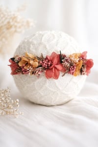 Image 2 of Mini halo barbara