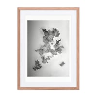 Image 1 of Framed poster Coming and Going