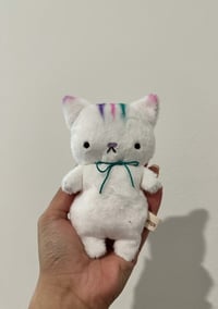 rainbow Kitty 