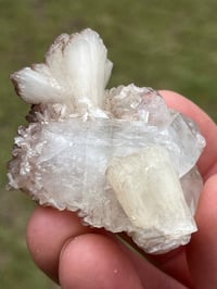 Image 4 of Apophyllite & Stilbite Specimen #2603