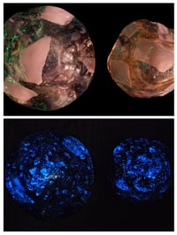 Image 4 of Garden Mushroom Stake (glow-in-the-dark)