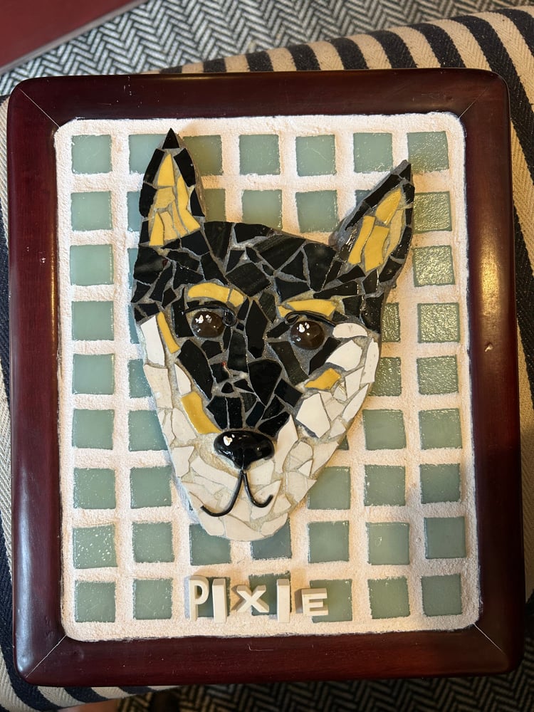 Image of Pixie, reserved for Ricky