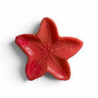 Image 13 of Starfish Trinket Dishes