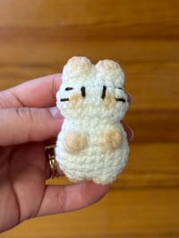 Image 1 of Chamaloow chat 