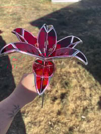 Image 4 of Life like 3D Lily