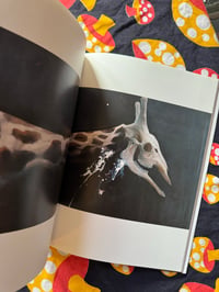 Image 3 of Can't See Anything Anyway,  Atsushi Suwa, 2011