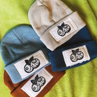 Blueberry Beanies