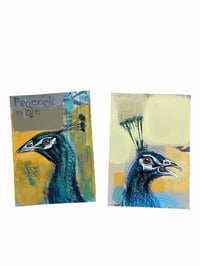 Tom wood peacocks