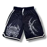 Image 4 of KRAANIUM - Shorts/Jerseys