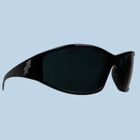 Image 1 of POLISHED LIZARD SUNGLASSES