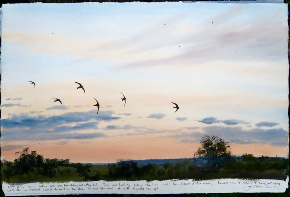 Image of Six swift flypast- 24th July