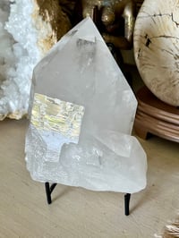 Image 13 of Clear Quartz Points Cluster #1187