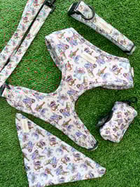 Image 2 of 626 Pup Collection 