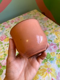 Image 2 of papaya tumbler