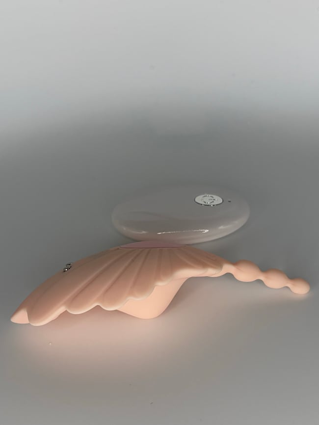 Control Me (Vibrating Panties)
