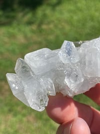 Image 5 of Glass Apophyllite Specimen #1945