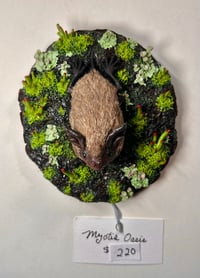 Image 5 of Myotis Oasis