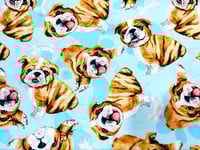 Image 24 of Dog Scrub Hats