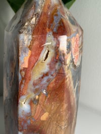 Image 11 of XXL RAINBOW IBIS JASPER TOWER -MADAGASCAR-