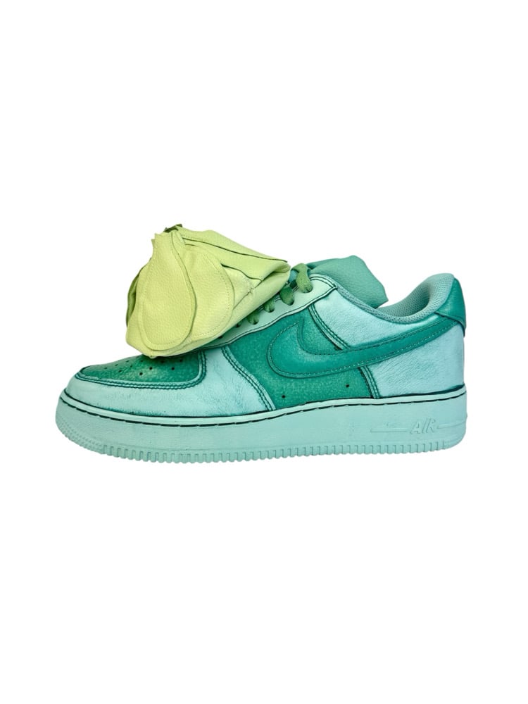 Image of Air Force 1 Bulbasaur