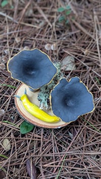 Image 2 of Black Trumpet sculpture 
