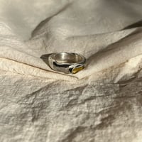 Image 4 of WARPED RING (U)