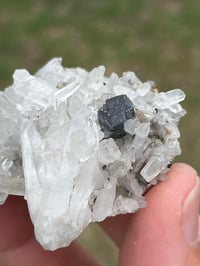 Image 9 of Huebnerite & Fine Quartz Points Specimen #2617