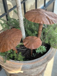 Image 2 of Large Mushroom Stakes Set of 3