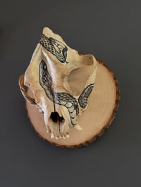 Image 3 of MEMENTO MORI