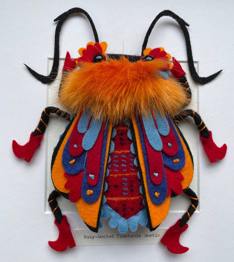 Image of Long-horned Metro Beetle