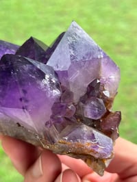 Image 6 of Amethyst Points Cluster | Congo #2869
