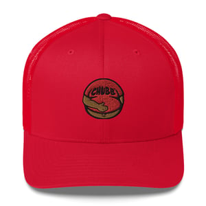 Image of Mesh-back Trucker Caps