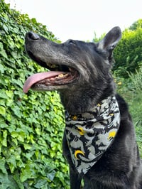 Image 5 of Suspicious Kitty Bandana 