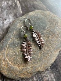 Image 1 of Fern Dangles