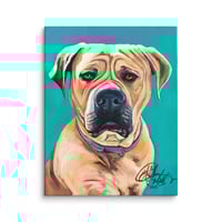 Image 4 of Teal Mastiff