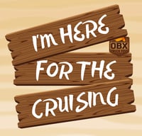 I’m Here For The Cruising 2x2 Banner