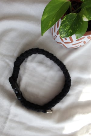 Image of Large Dog Collar