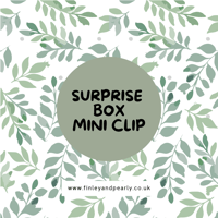 SURPRISE: MINI CLIP