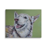 Image 4 of Happy Life Husky