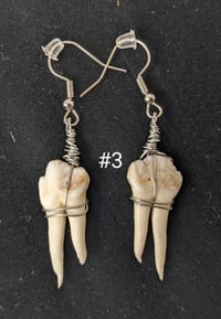 Image 3 of Small Deer Molar Earrings
