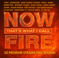 Thin mint GSC X ( Jet fuel X skunk 1 )