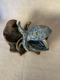 Image 4 of Caja Pez II ~ Mensajeros del agua