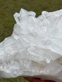 Image 7 of Clear Quartz Crystal Points Cluster #346