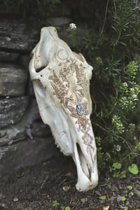 Image 4 of Il Dio Pan -teschio di Cavallo-