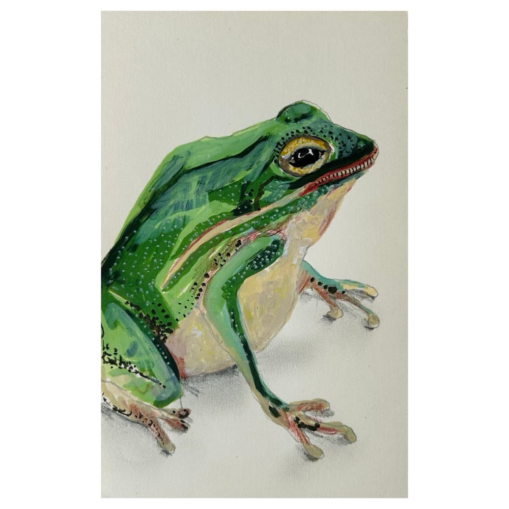 Image of  fred.