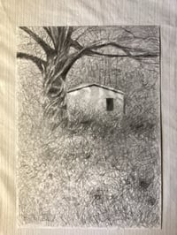 Image 2 of Cabin under the Ash