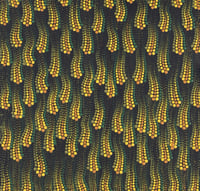 Image 1 of “Dance of the Wattle” A5 Print