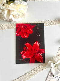 Image 1 of Red Lillies Art Print