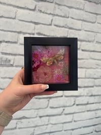 Image 1 of Unmonsuzume Hawkmoth Frame